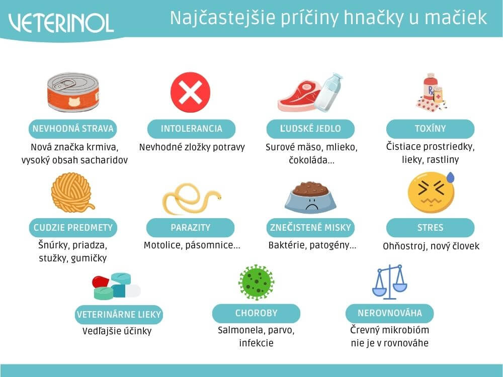 Čo spôsobuje hnačku u mačiek - tabuľka (Veterinol)