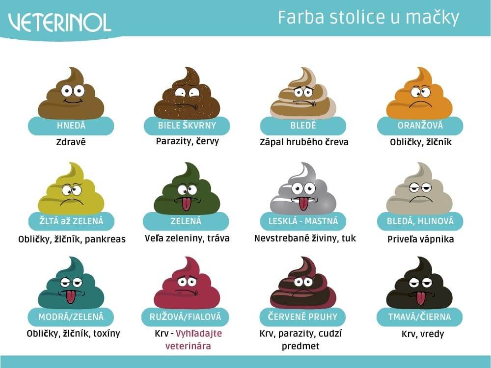 Farba stolice u mačiek - tabuľka (Veterinol)