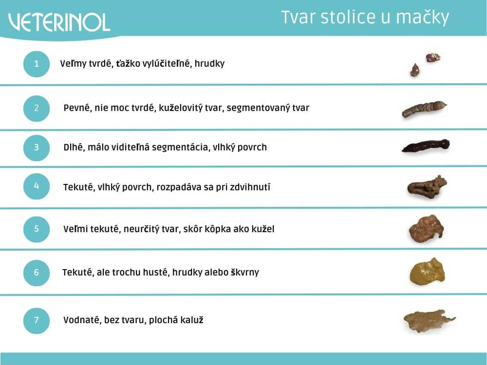 Tvar stolice u mačiek - tabuľka (Veterinol)