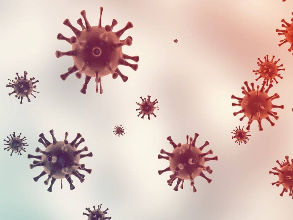 Vírus - mačka 30-01