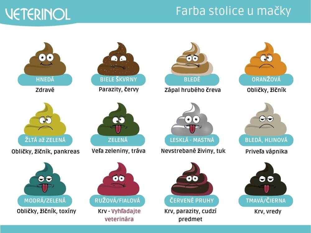 Farba stolice u mačiek - tabuľka (Veterinol)